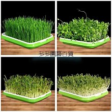 芽小七原創胡桃匣子系列之士兵小款雙肩包小眾帆布休閒揹包女書包 歷史價格詳細信息