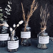 北歐風透明泡泡椅半球吊椅太空椅亞克力吊籃少女心客廳玻璃球 歷史價格詳細信息