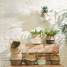 海草收納籃草編竹編藤編創意桌面收納筐手工編織置物籃衣柜儲物盒*爆款 歷史價格詳細信息