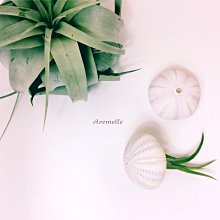 《Are獨立之家》北歐風 透明玻璃花器花瓶 附貼紙 居家裝飾 拍攝道具 特大尺寸 小瓶口 單個 如需圖片其它的花器另購 歷史價格詳細信息