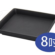 GI004 紗門自動關門器綿繩 紗門自動關門器-配件 綿繩 紗門綿繩 紗門自動回拉器專用 歷史價格詳細信息