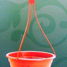 吊盆伸縮升降掛勾 304不鏽鋼繩 花盆掛勾 園藝掛鉤 花盆吊繩懸掛繩 歷史價格詳細信息