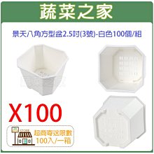 白色3組免運 EW0957日本國際牌音波電動牙刷 EW-DS11刷頭DOLTZ WEW-0957 Panasonic 歷史價格詳細信息