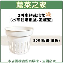 白色3組免運 EW0957日本國際牌音波電動牙刷 EW-DS11刷頭DOLTZ WEW-0957 Panasonic 歷史價格詳細信息