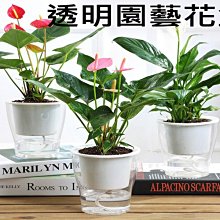 掛式塑膠籃 置物籃浴室瀝水掛籃衛生間壁掛收納筐可掛式洗澡小籃子雜物收納籃塑膠筐 歷史價格詳細信息