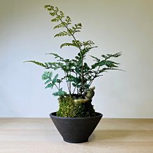 Rainxpluie 知雨若泥 多肉•盆栽•花盆•造景•新年擺飾•花園•牛年•北歐 簡約小品  雨簾雲棟 粉色 無底洞 歷史價格詳細信息