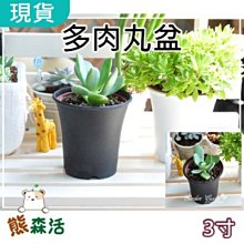 栽培盆(3寸)  【大潤發】 歷史價格詳細信息