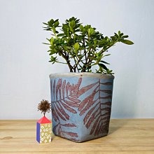 北歐風多格收納盒 北歐風 加厚多格收納盒 分格收納盒 衣物 內褲 小物收納 衣櫃收納 襪子 整理盒 收納箱【A065】 歷史價格詳細信息