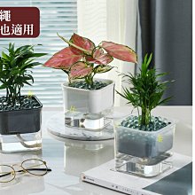 【種植懶人包】生日快樂福袋 / 栽培蛋盆組合 (生日禮物/栽培組/鏟子/盆器/種子/草莓/香草/日本雜貨/正版授權) 歷史價格詳細信息