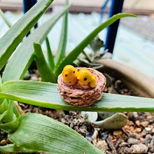 Rainxpluie 知雨若泥 多肉•盆栽•花盆•造景•新年擺飾•花園•牛年•北歐 簡約小品  雨簾雲棟 粉色 無底洞 歷史價格詳細信息