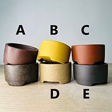 Rainxpluie 知雨若泥 多肉•盆栽•花盆•造景•新年擺飾•花園•牛年•北歐 簡約小品  雨簾雲棟 粉色 無底洞 歷史價格詳細信息