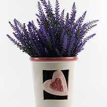 軒宇家-TNF北面 北臉The North Face羽絨服經典厚款連帽中長款保暖羽絨外套 歷史價格詳細信息