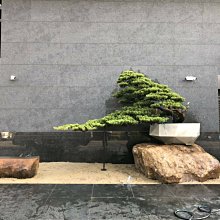 L款工廠維修測試延長板安卓雙卡換卡器SIM安卓手機外接外置卡槽 歷史價格詳細信息