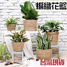 台灣現貨 純手工古琴 專業演奏級老桐木房梁生漆七弦琴伏羲仲尼式 歷史價格詳細信息