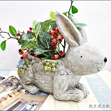 鄉村風/石膏模/咖啡店/黃框小鴨與兔子吊飾/壁掛/裝飾 復古 田園風(絲帶髒） 歷史價格詳細信息