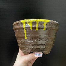 【台灣盆鉢】 正成 盆  手工陶盆 南蠻盆 -A880 歷史價格詳細信息