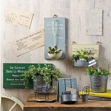 艾苗小屋-日本進口PETIO千鳥紋胸背組 (XS) 歷史價格詳細信息