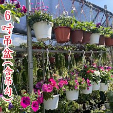 【園藝城堡】 4.5寸黑軟盆100個/組 歷史價格詳細信息