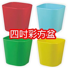 彩色方形花盆-4吋(5入組) 歷史價格詳細信息