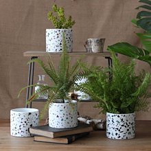 花盆 陶瓷花盆 創意花盆 多肉花盆 大號網紅鈴蘭可愛精工手繪鑲鉆多肉粗陶綠植花盆 歷史價格詳細信息