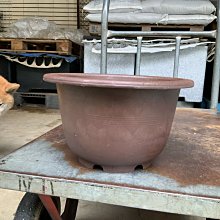 （塑膠塑注模具配件）skd61鑲針 精密型芯 內芯 真空氮化處理 歷史價格詳細信息