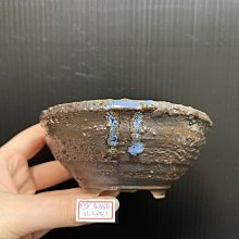 【台灣盆鉢】 正成 盆  手工陶盆 南蠻盆 -A880 歷史價格詳細信息