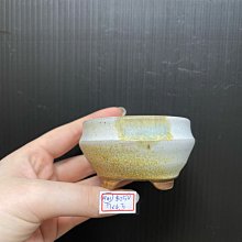 【台灣盆鉢】 正成 盆  手工陶盆 南蠻盆 -A880 歷史價格詳細信息