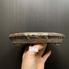 【台灣盆鉢】 正成 盆  手工陶盆 南蠻盆 -A880 歷史價格詳細信息