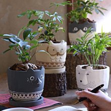 《齊洛瓦鄉村風雜貨》日本zakka雜貨 日本法國製純棉製抹布 擦拭布 廚房用抹布 手工純棉製抹布 餐墊 小墊子 歷史價格詳細信息