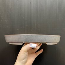 【東東】福派電動牙刷成人充電式全自動聲波細軟毛情侶款套裝男女學生黨3S 歷史價格詳細信息