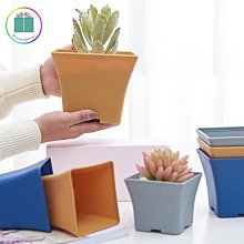 [迪士尼] 多功能塑膠兒童衣架32cm 米奇米妮(5入/組) [台灣製造]【網狐家居】[現貨] 歷史價格詳細信息