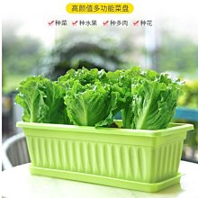 蔬菜種植箱 三聯箱 超大號 家庭種菜專用箱 陽臺種菜盆 樓頂塑料花盆 庭院戶外花箱 歷史價格詳細信息