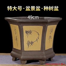 【熱賣精選】六角花盆特大號紫砂種樹花盆大口徑30cm以上陶瓷花盆 價格比較,價格查詢,歷史價格詳細信息