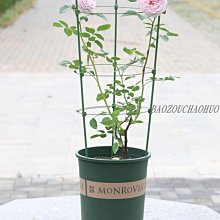 【熱賣精選】花架 攀爬架 花盆 花園圍欄柵欄圍擋菜園花壇擋土條隔離圍邊花圃圍邊花池塑料小籬笆 歷史價格詳細信息