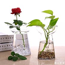 【熱賣精選】創星過濾桶CF600水草魚缸atman外置筒CF1200配件CF800缸*七月新品 歷史價格詳細信息