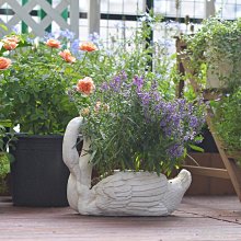 天堂花園 花植萃卸妝精華入門組 (黑玫瑰/木槿/仙履蘭)  買1送3 歷史價格詳細信息