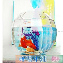 玻璃魚缸新款家用客廳小型循環過濾一體機免換水生態金魚缸水族箱~優品百貨Q1221 歷史價格詳細信息