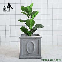 【小尺寸】北歐撞色蔬果瀝水籃 PP材質 塑料多色 瀝水籃 洗菜籃 攪拌碗 洗菜盆 水果籃 歷史價格詳細信息