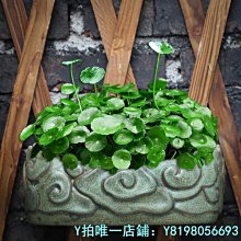 上銅下鐵五股普巴金剛橛家用供具擺件 尼泊爾純手工藝品 佛具用品 歷史價格詳細信息