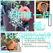 花盆 陶瓷花盆 創意花盆 多肉花盆 大號網紅鈴蘭可愛精工手繪鑲鉆多肉粗陶綠植花盆 歷史價格詳細信息