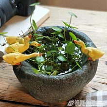 【夯肉烤肉必buy】卡旺雙安全式卡式爐001D+兩用燒烤盤 歷史價格詳細信息