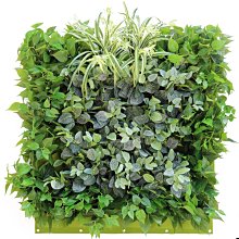 陽臺種菜箱鋁合金蔬菜種植箱家用種菜神器庭院戶花盆大號長方形 123 歷史價格詳細信息