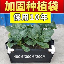 植物種植袋套盆袋5加侖駝色-2入 歷史價格詳細信息