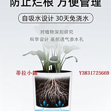 花盆 盆栽 塑料花盆 水培花盆 自吸水花盆 懶人 日系水耕盆栽 水耕植物 塑膠盆 【N281】Color me 歷史價格詳細信息