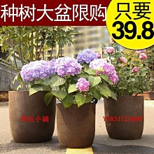 花盆宜興紫砂花盆陶瓷客廳簡約金鐘盆景盆虎皮蘭花盆專用君子蘭紫砂盆 歷史價格詳細信息