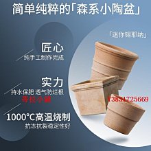 越南進口紅鐵木菜板防霉抗菌案板加厚砧板家用面板廚房整木菜墩子 歷史價格詳細信息