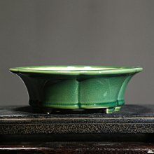 【精選好物】青年時尚腰帶男啄木鳥皮帶男潮年輕人名牌牛皮純自動扣真皮正品百搭男士褲腰帶 歷史價格詳細信息