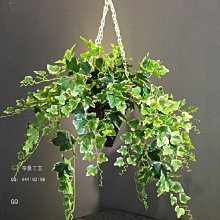 《田園風格》特大純棉四件式防蹣抗菌吸濕排汗兩用被床包組 歷史價格詳細信息