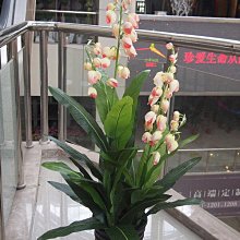 假盆景 北歐仿真植物琴葉榕客廳裝飾ins風綠植盆栽擺件室內大型落地假樹 歷史價格詳細信息