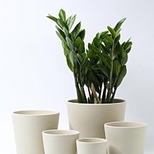 花盆 陶土花盆 小花盆 桌面花盆 帶孔花盆陶土麻繩垂吊墻壁吊盆陶瓷花盆壁掛懸掛創意四色花盆多肉植物盆栽 歷史價格詳細信息